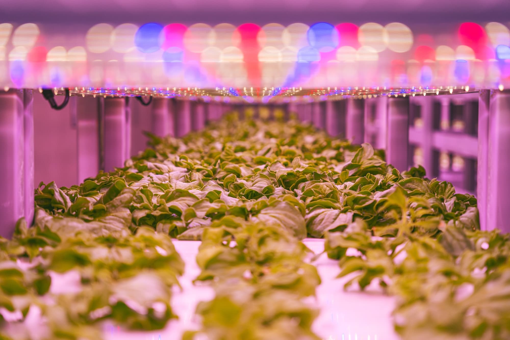 Controlled Environment