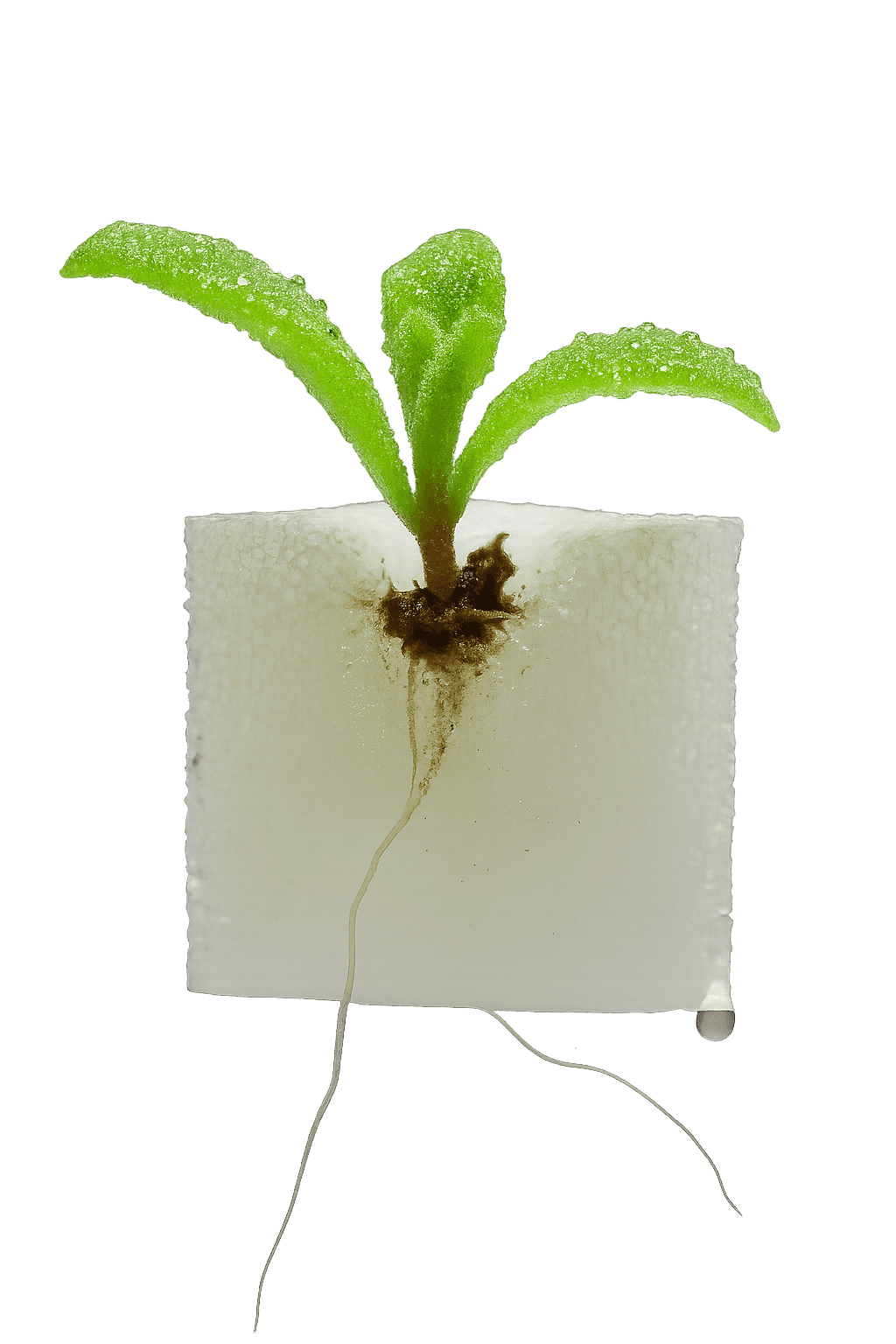Smart Farm